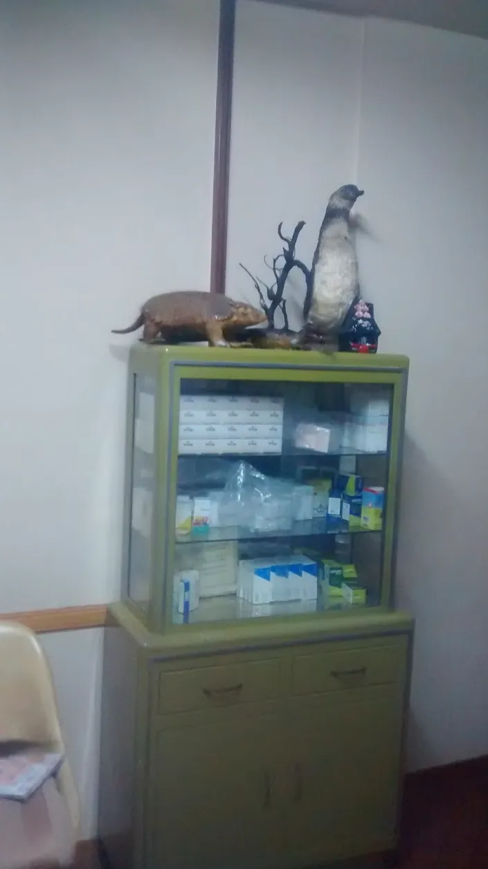 Mendoza Ruben