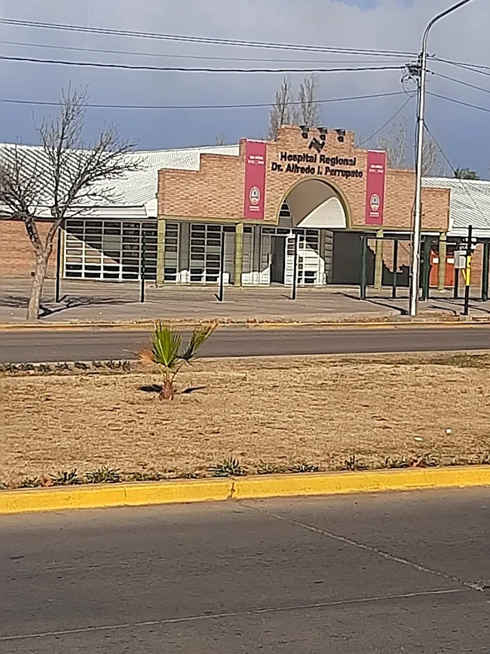 Hospital Regional Dr. Alfredo I. Perrupato